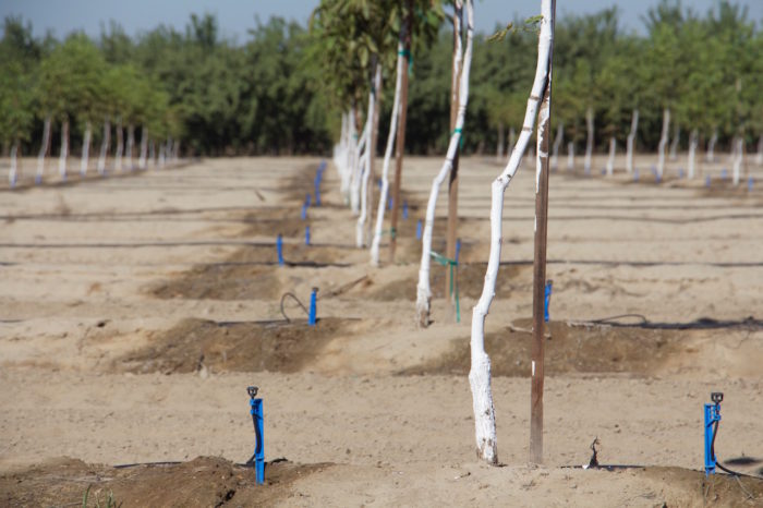 irrigation sprinklers