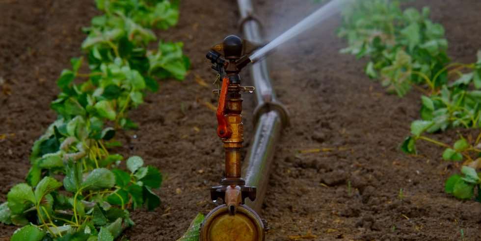 Drip Irrigation